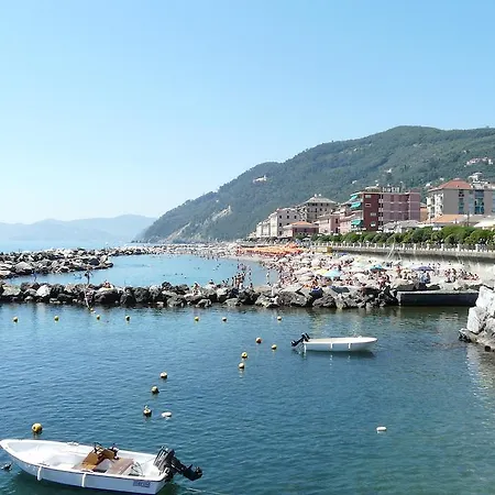 Splendido *